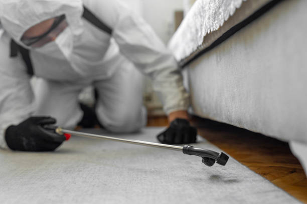 Professional Termite Control technician working in George Mason, VA