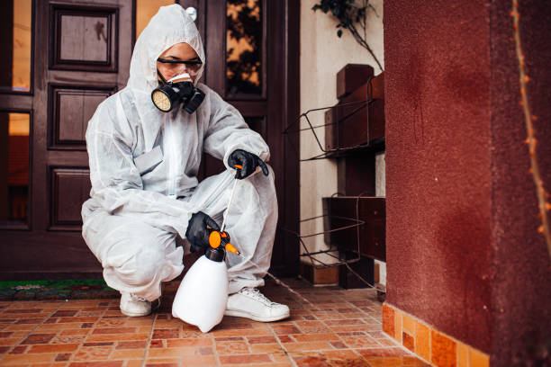 Reliable Termite Control contractor in George Mason, VA by Nex Pest Control