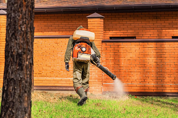 Trusted Cockroach Control service in George Mason, VA - Nex Pest Control